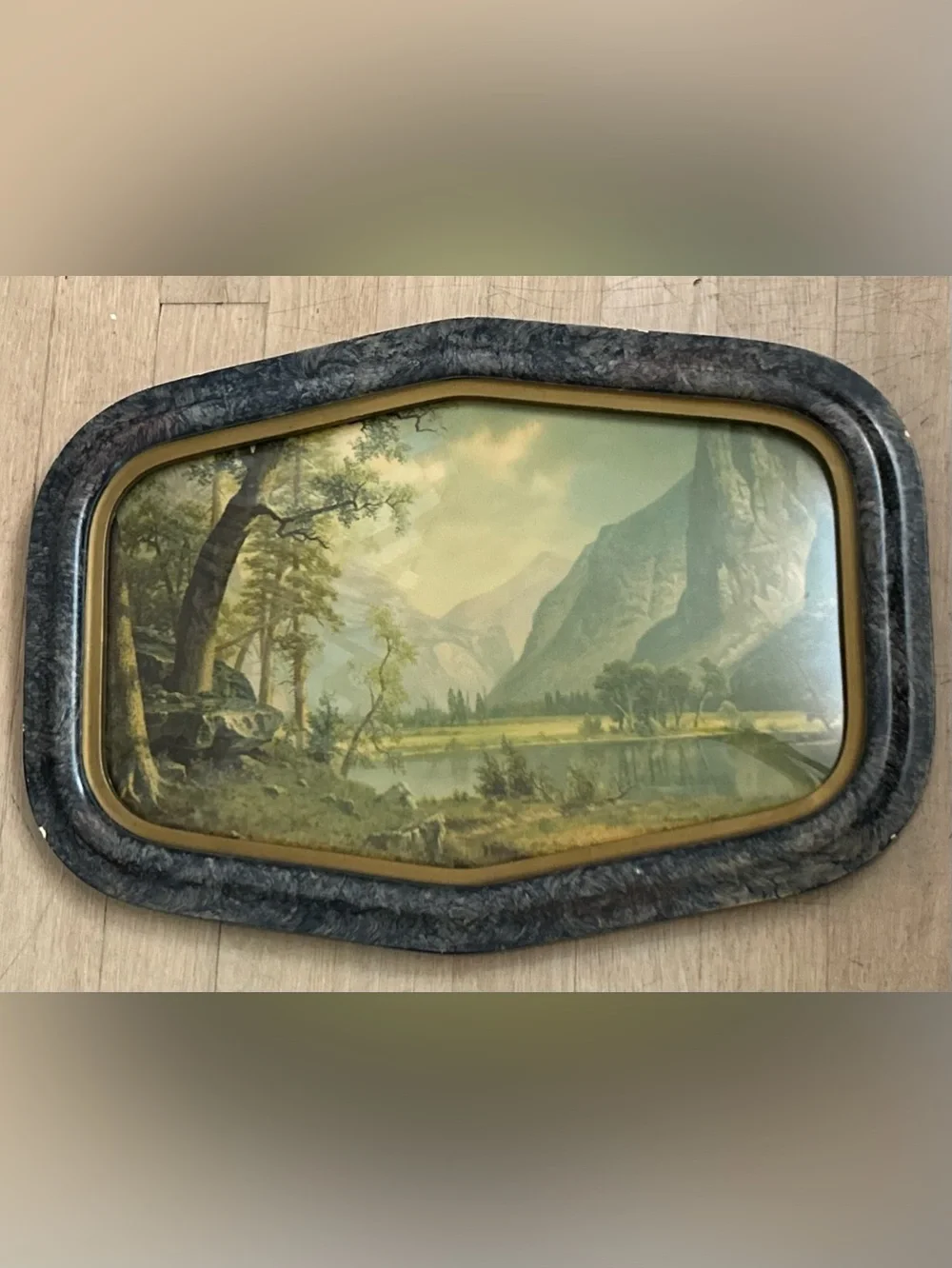 True Vintage Early 1900's Landscape Wall Art-Framed Yosemite Mountain Lake Print